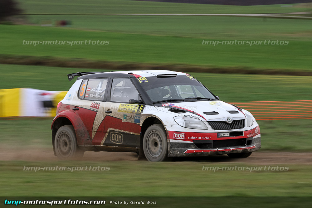 örm - Samstag - 131109-Wald4-08-GW-8735