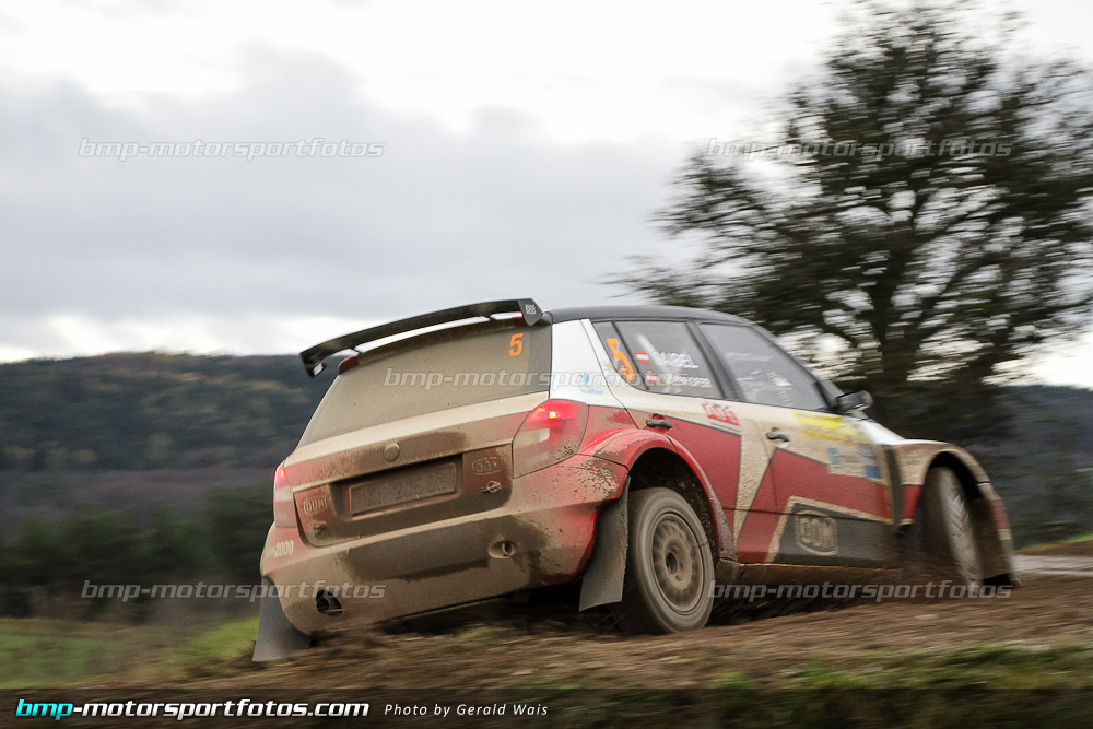 örm - Samstag - 131109-Wald4-08-GW-8738