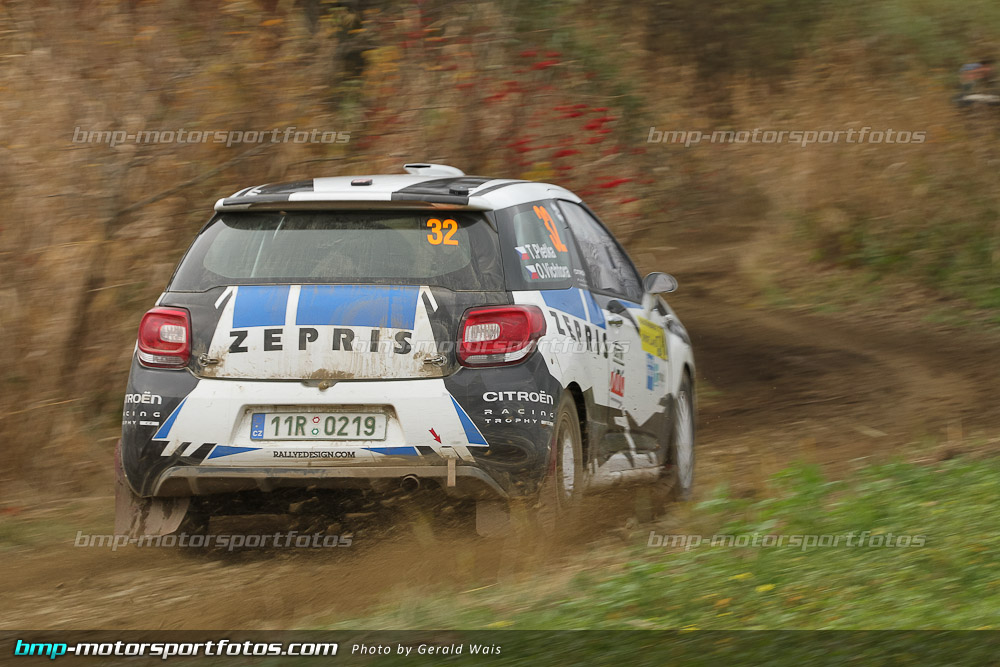 örm - Samstag - 131109-Wald4-10-GW-9264