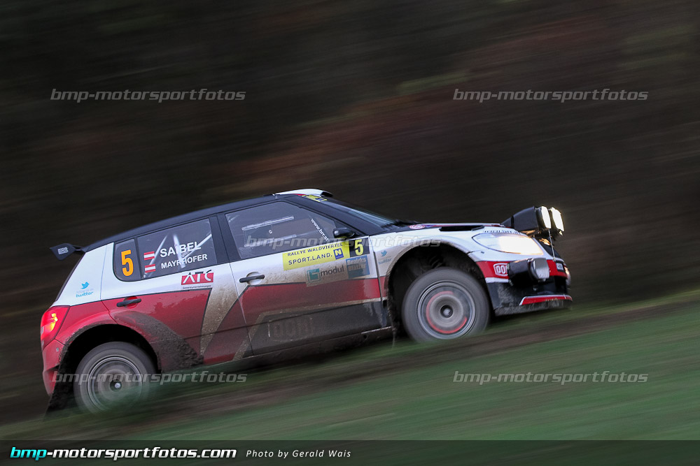 örm - Samstag - 131109-Wald4-13-GW-9780