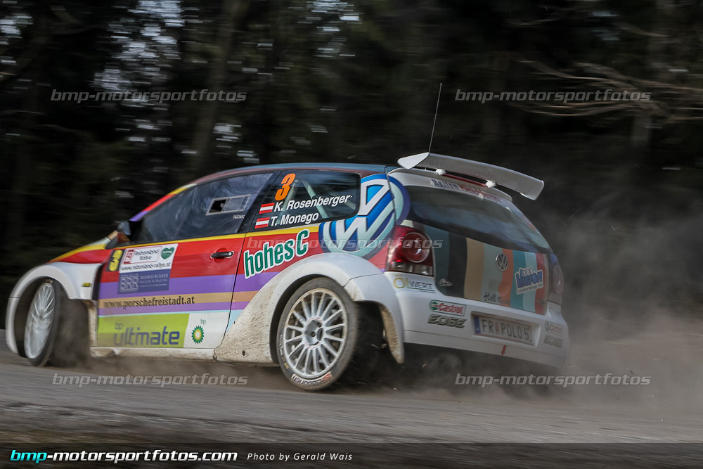 Gerald Wais - Freitag - 130322-Reben-02-GW-4041