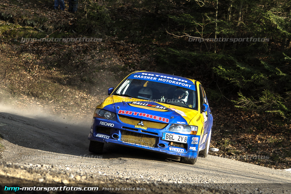 Gerald Wais - Freitag - 130322-Reben-02-GW-4122