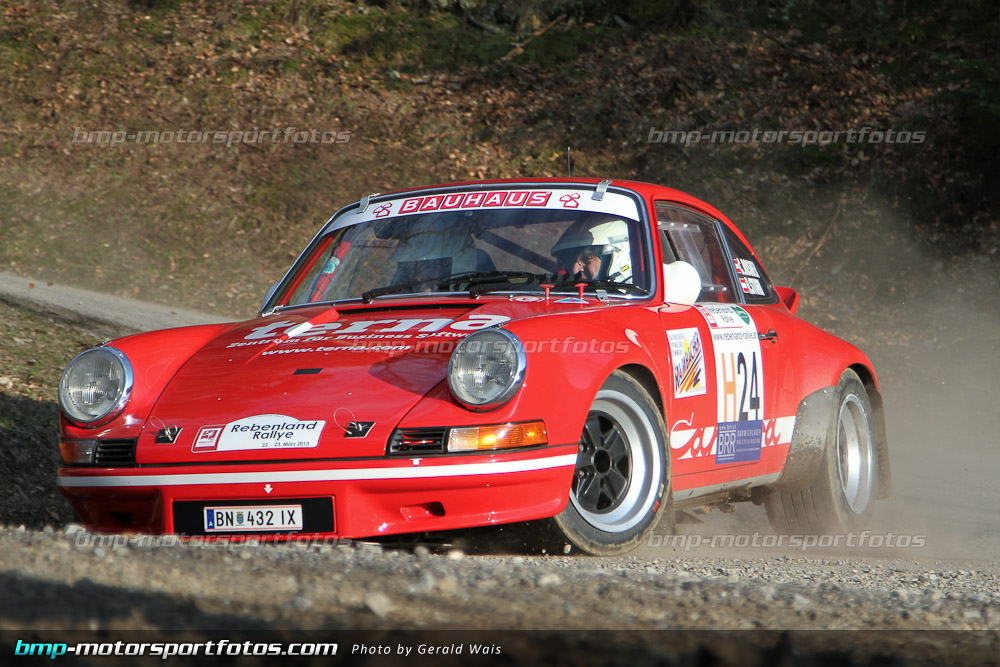 Gerald Wais - Freitag - 130322-Reben-02-GW-4243