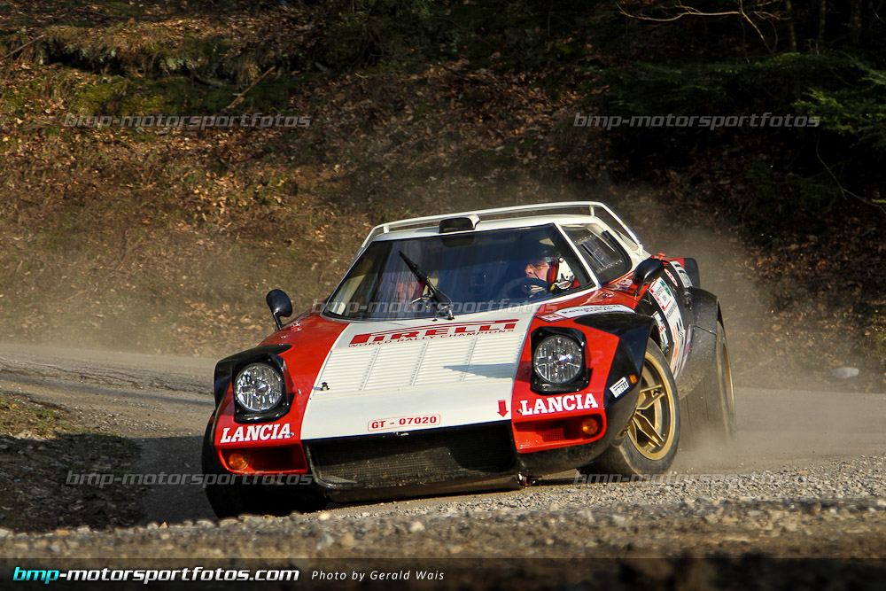 Gerald Wais - Freitag - 130322-Reben-02-GW-4264