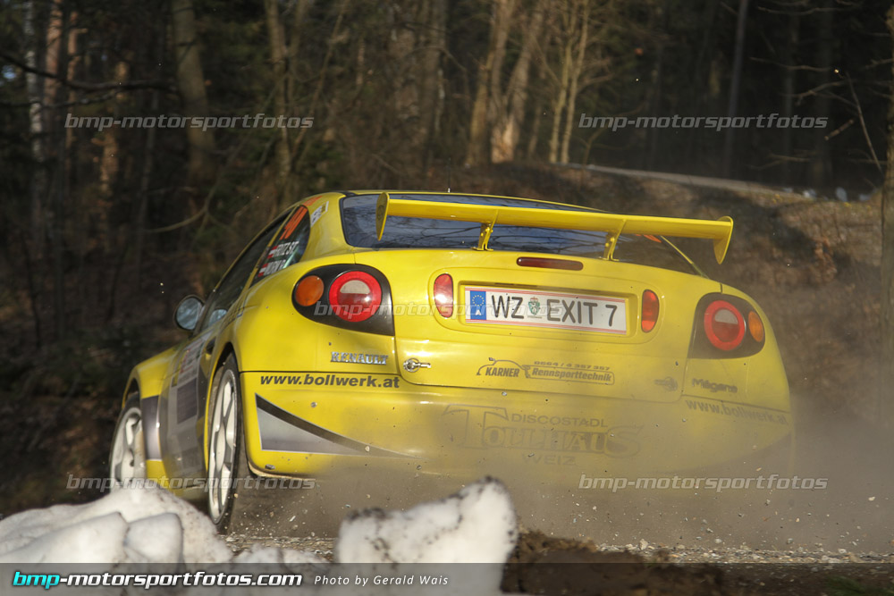 Gerald Wais - Freitag - 130322-Reben-02-GW-4278