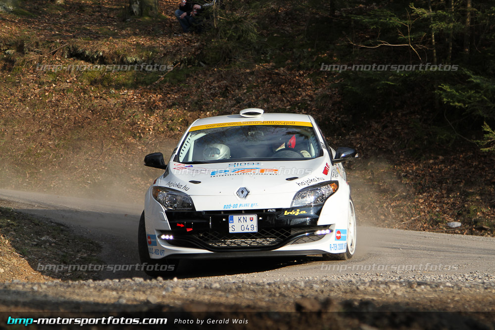 Gerald Wais - Freitag - 130322-Reben-02-GW-4297