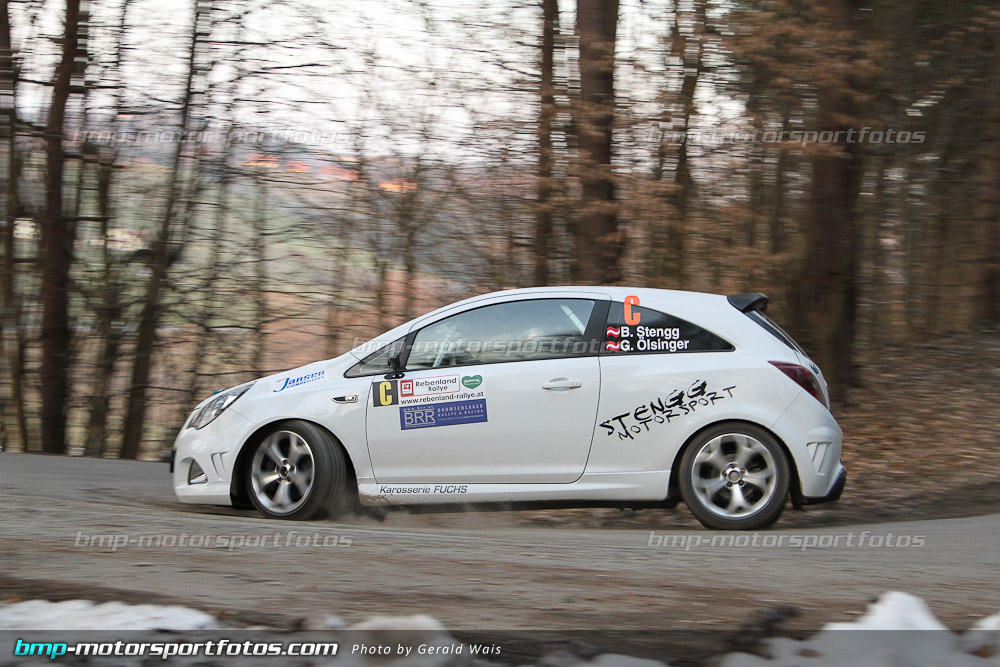 Gerald Wais - Freitag - 130322-Reben-03-GW-4562