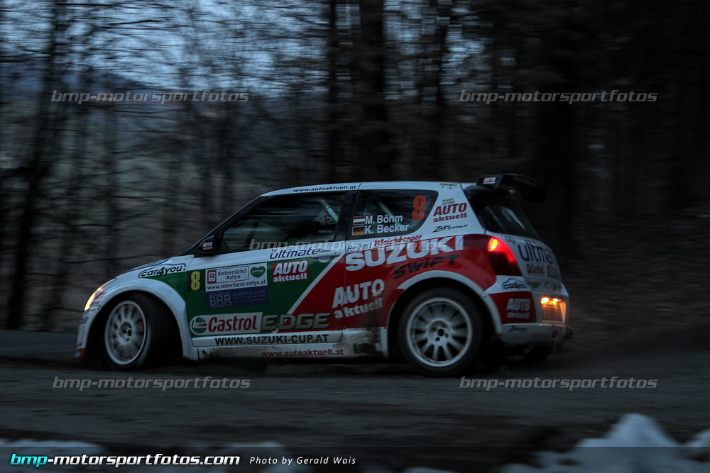 Gerald Wais - Freitag - 130322-Reben-03-GW-4639