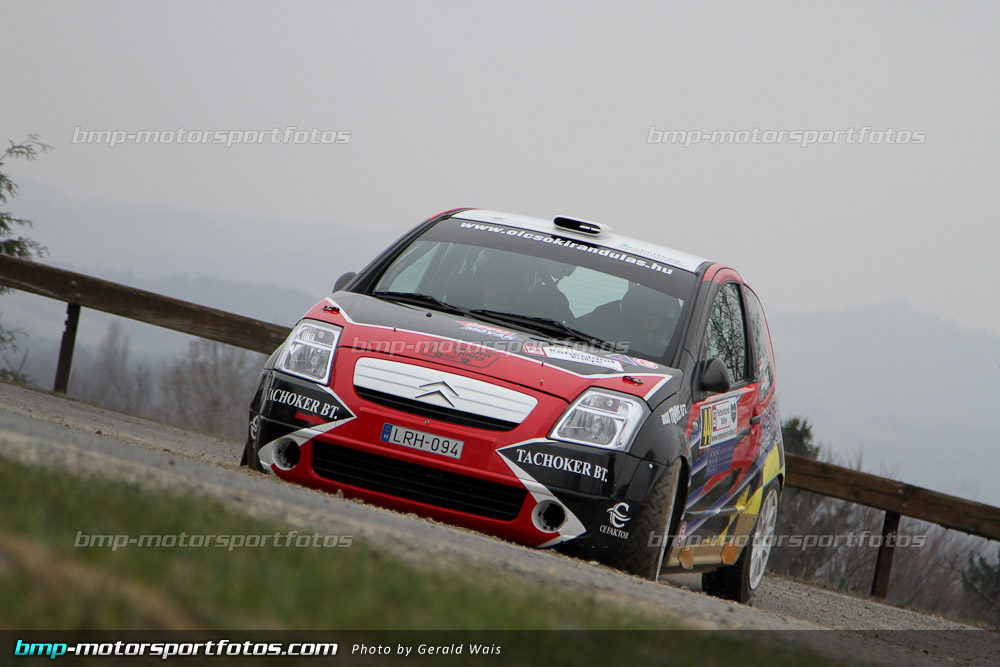 Gerald Wais - Samstag - 130323-Reben-07-GW-5178
