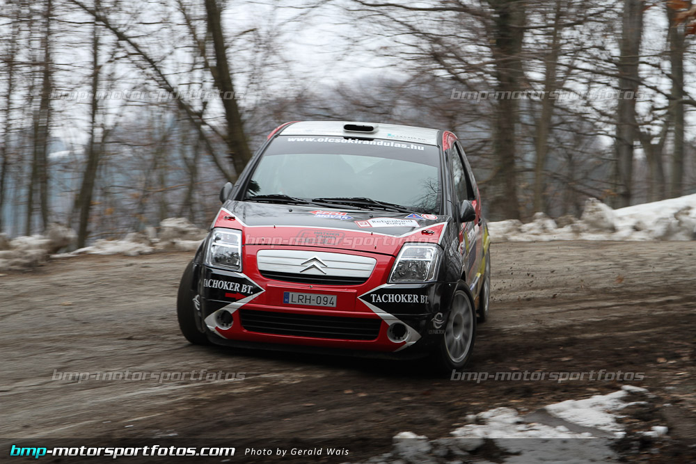 Gerald Wais - Samstag - 130323-Reben-10-GW-5705