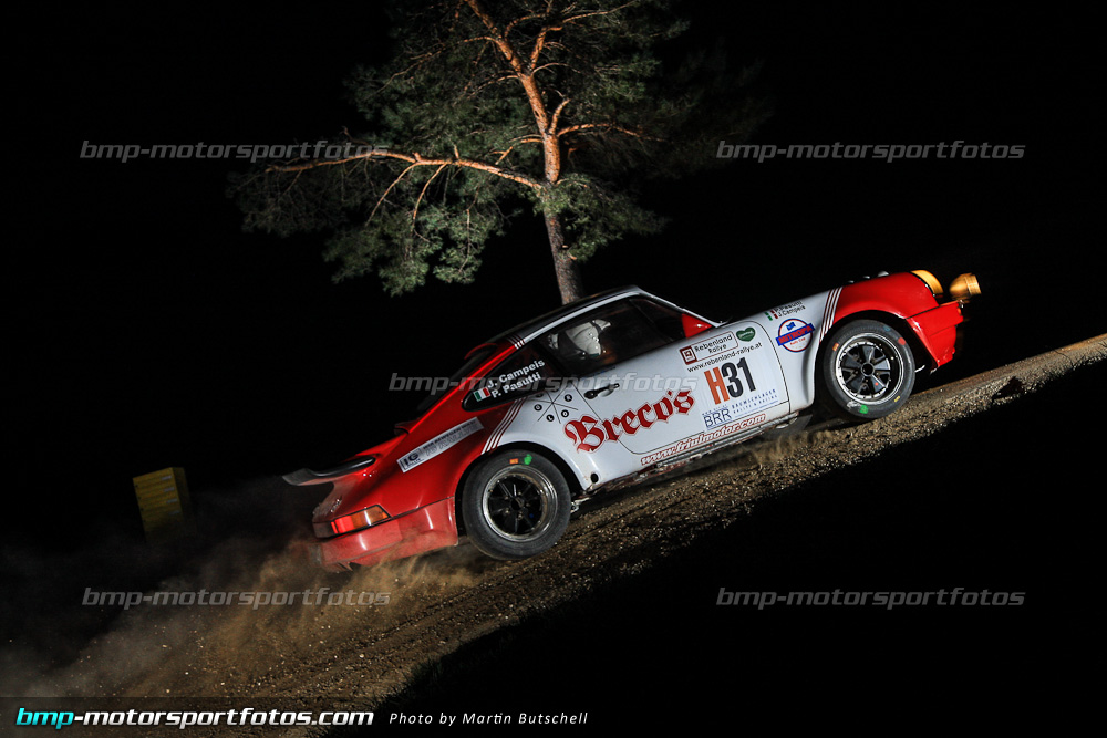 Samstag - SP 14 - 140322-Reben-14-MB-3997