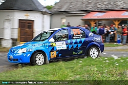 Ruzicka 8621