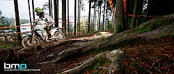 161023-Granitbeisser-01-BB-3131